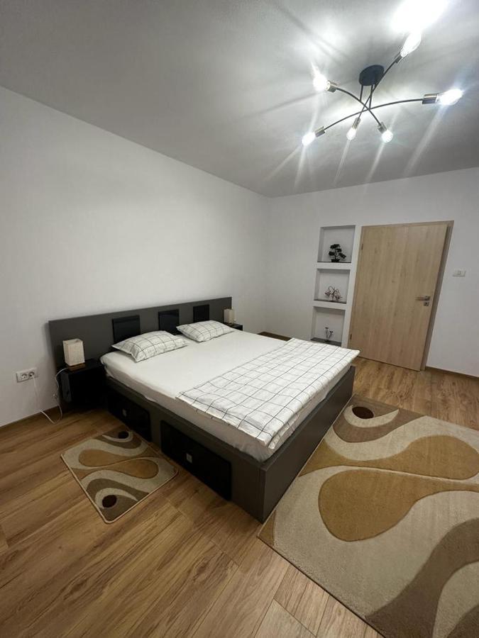 Emanuela Apartments Pecica Exteriér fotografie